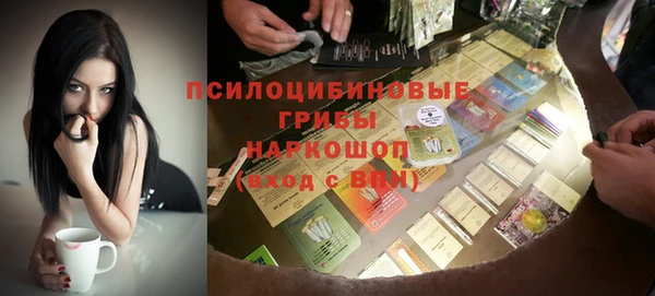 СК Бежецк