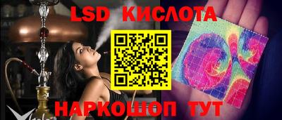 кокс Донской