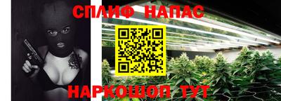 кокс Донской