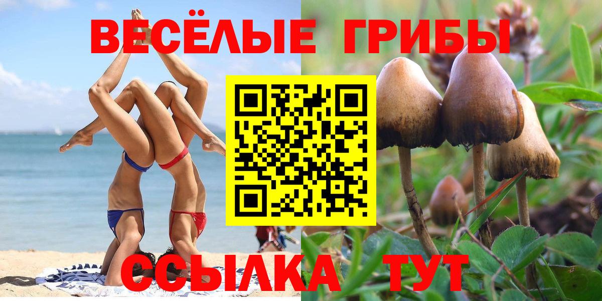 Псилоцибиновые грибы ЛСД  купить наркотик  Кандалакша  Псилоцибиновые грибы прущие грибы  Вход с VPN 